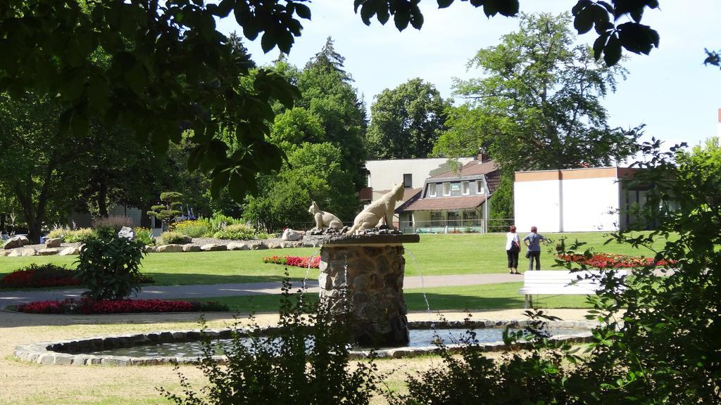 Pension Villa Irene Bad Harzburg Exteriör bild